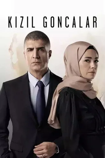 Kızıl Goncalar 1. sezon posteri