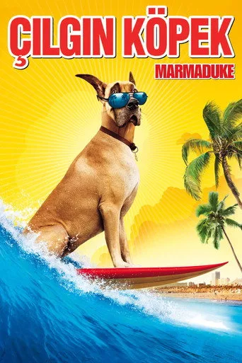 Çılgın Köpek (2010) posteri