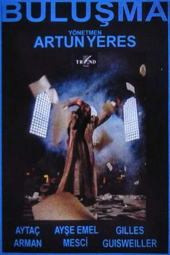 Buluşma (1994) posteri