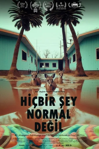 Hiçbir Şey Normal Değil (2024) posteri