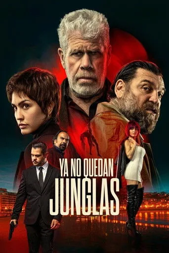 Romantik Kahraman (2025) posteri