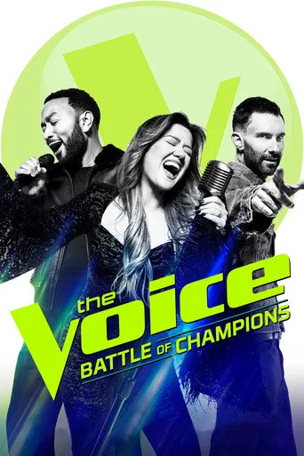 The Voice 29. sezon posteri