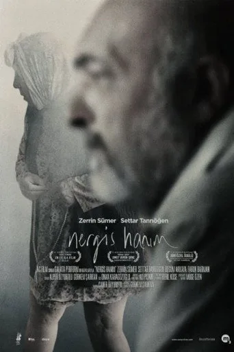 Nergis Hanım (2014) posteri