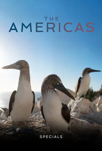 The Americas 0. sezon posteri