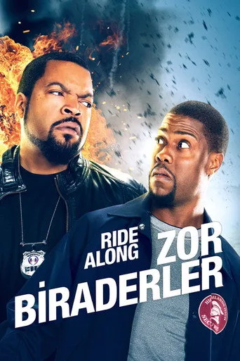 Zor Biraderler (2014) posteri