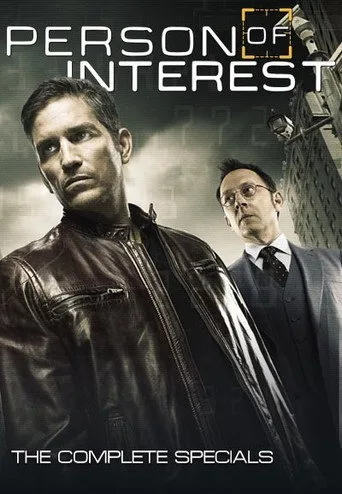 Person of Interest 0. sezon posteri