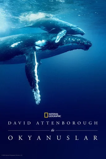 David Attenborough ile Okyanuslar (2025) posteri