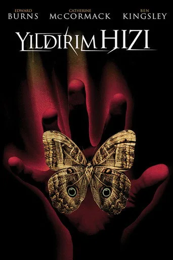 Yıldırım Hızı (2005) posteri