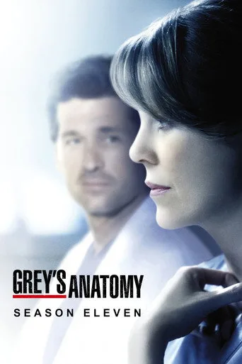 Grey's Anatomy 11. sezon posteri