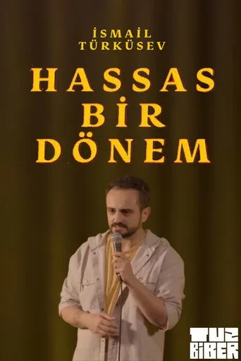 Hassas Bir Dönem - İsmail Türküsev (2023) posteri