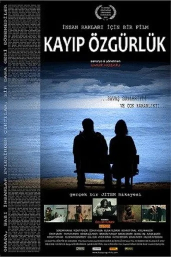 Kayıp Özgürlük (2011) posteri