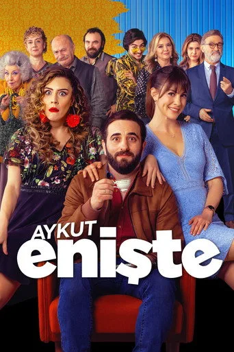 Aykut Enişte (2019) posteri