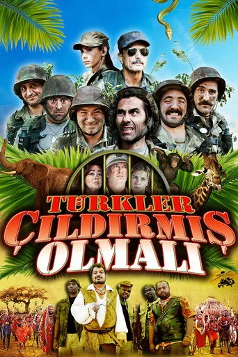 Türkler Çıldırmış Olmalı (2009) posteri
