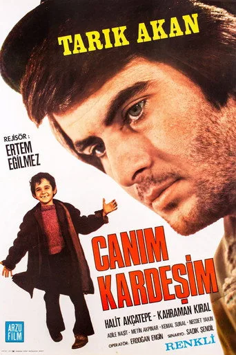 Canım Kardeşim (1973) posteri