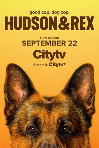 Hudson & Rex 8. sezon posteri