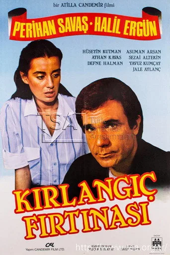 Kırlangıç Fırtınası (1985) posteri