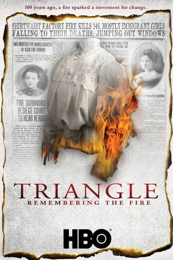 Triangle: Remembering the Fire (2011) posteri