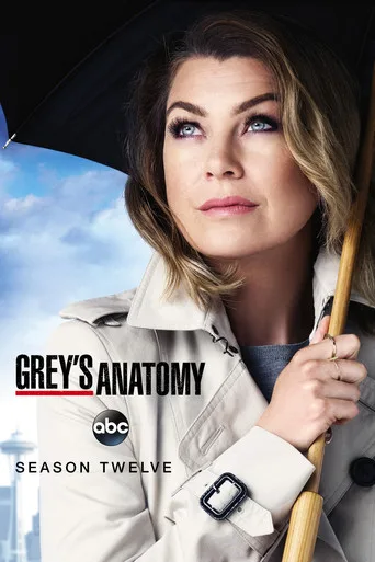 Grey's Anatomy 12. sezon posteri