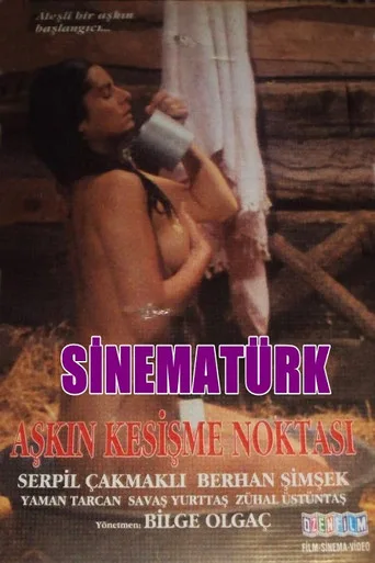 Aşkın Kesişme Noktası (1990) posteri