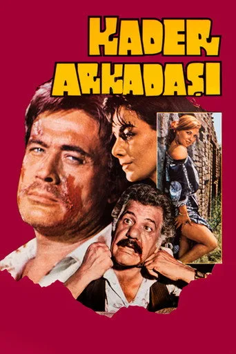 Kader Arkadaşı (1981) posteri