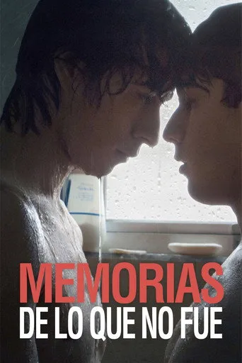 Memorias de lo que no fue (2017) posteri