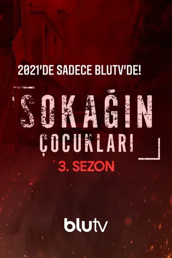 Sokağın Çocukları 3. sezon posteri
