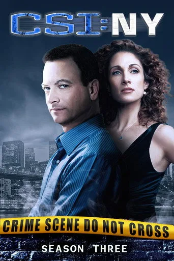 CSI: NY 3. sezon posteri