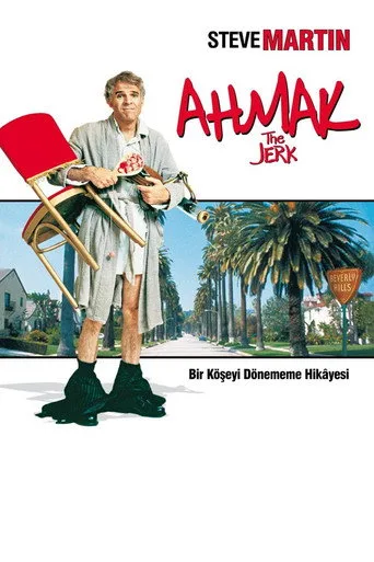 Ahmak (1979) posteri