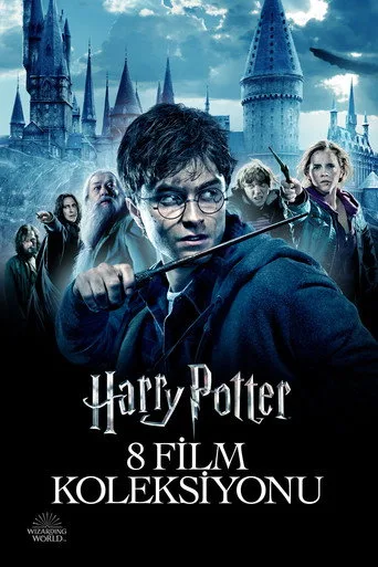 Harry Potter serisi