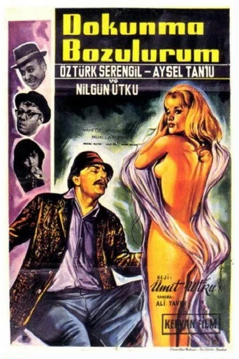 Dokunma Bozulurum (1965) posteri