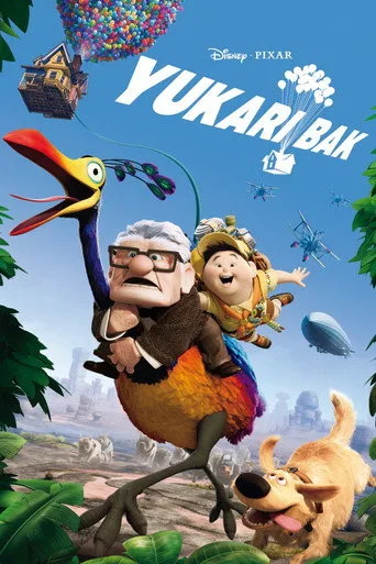 Yukarı Bak (2009) posteri