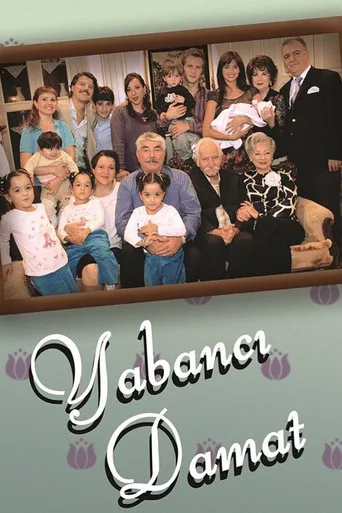 Yabancı Damat 3. sezon posteri