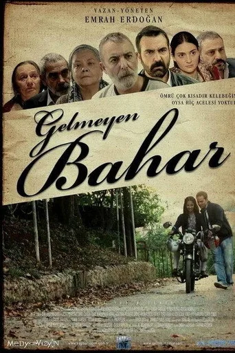Gelmeyen Bahar (2013) posteri
