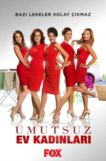 Umutsuz Ev Kadınları 3. sezon posteri