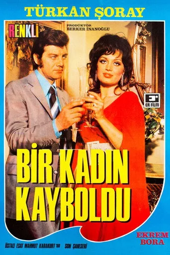 Bir Kadın Kayboldu (1971) posteri
