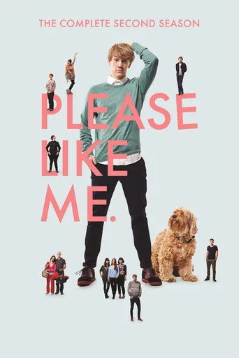 Please Like Me 2. sezon posteri