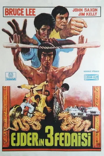 Ejder Kalesi (1973) posteri