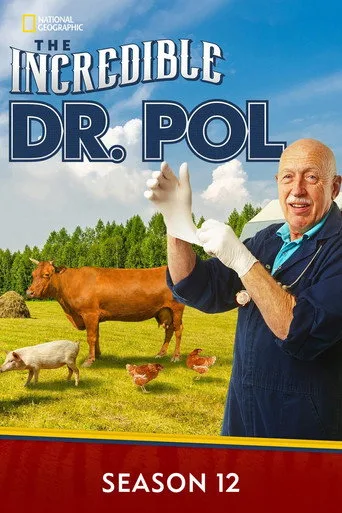 Yetenekli Doktor Pol 12. sezon posteri