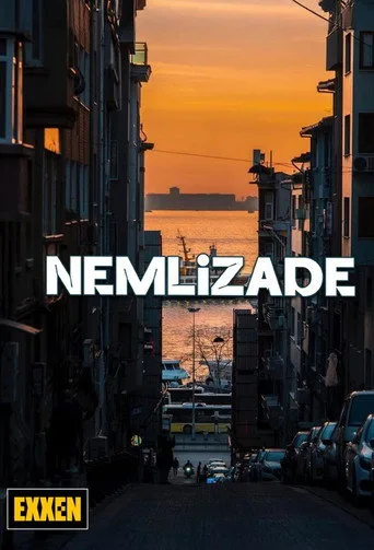 Nemlizade 6. sezon posteri