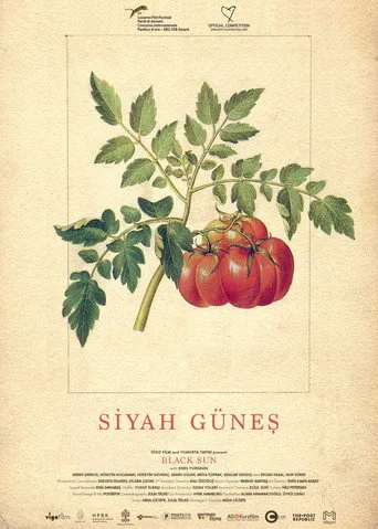 Siyah Güneş (2019) posteri