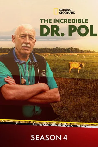 Yetenekli Doktor Pol 4. sezon posteri