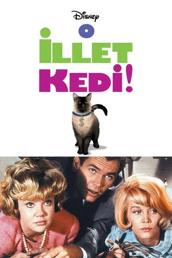 O İllet Kedi (1965) posteri