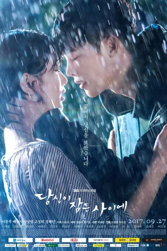 While You Were Sleeping 0. sezon posteri