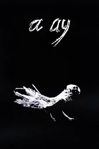 A Ay (1988) posteri