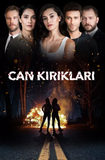 Can Kırıkları (2018) posteri
