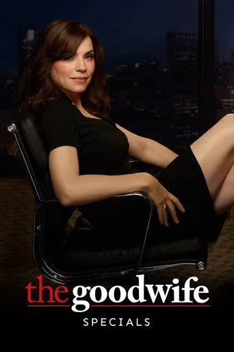 The Good Wife 0. sezon posteri