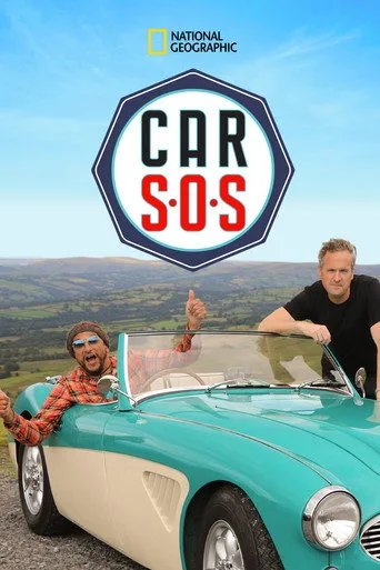 Araba S.O.S. (2013) posteri