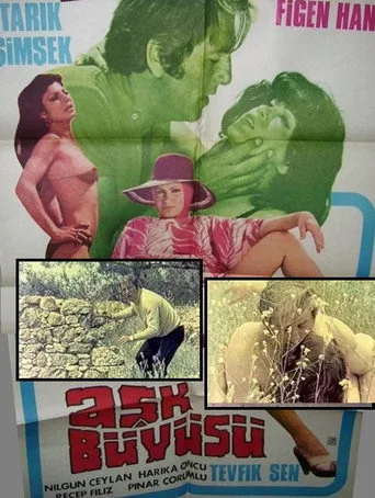 Aşk Büyüsü (1979) posteri