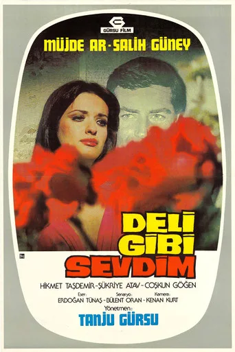 Deli Gibi Sevdim (1976) posteri
