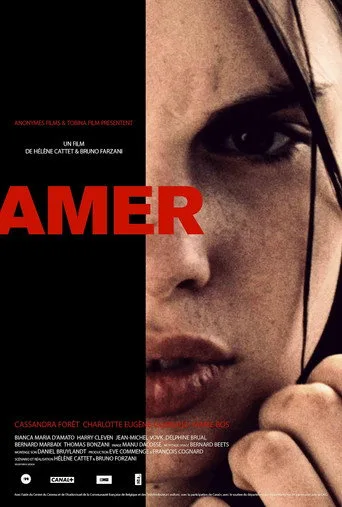 Amer (2009) posteri